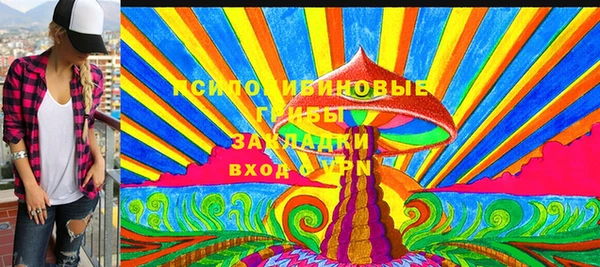 крисы Алзамай