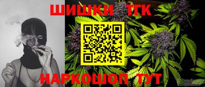 индика Донецк