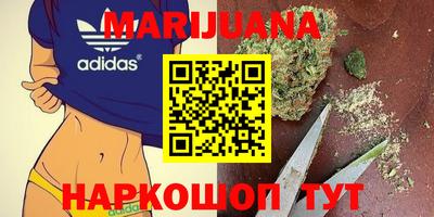 индика Донецк