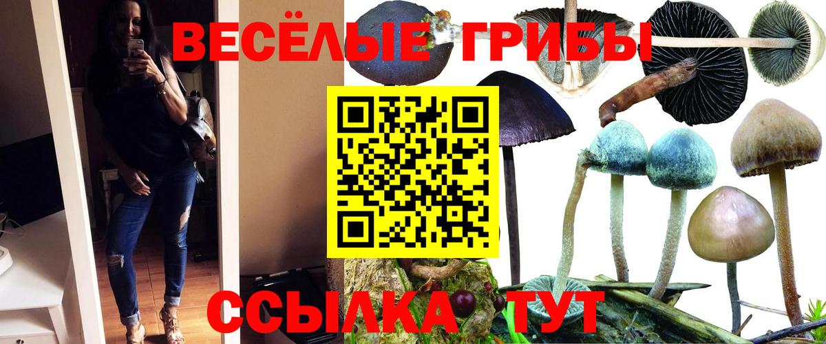 Мичуринск  где найти наркотики  Вход с VPN  Псилоцибиновые грибы MAGIC MUSHROOMS 